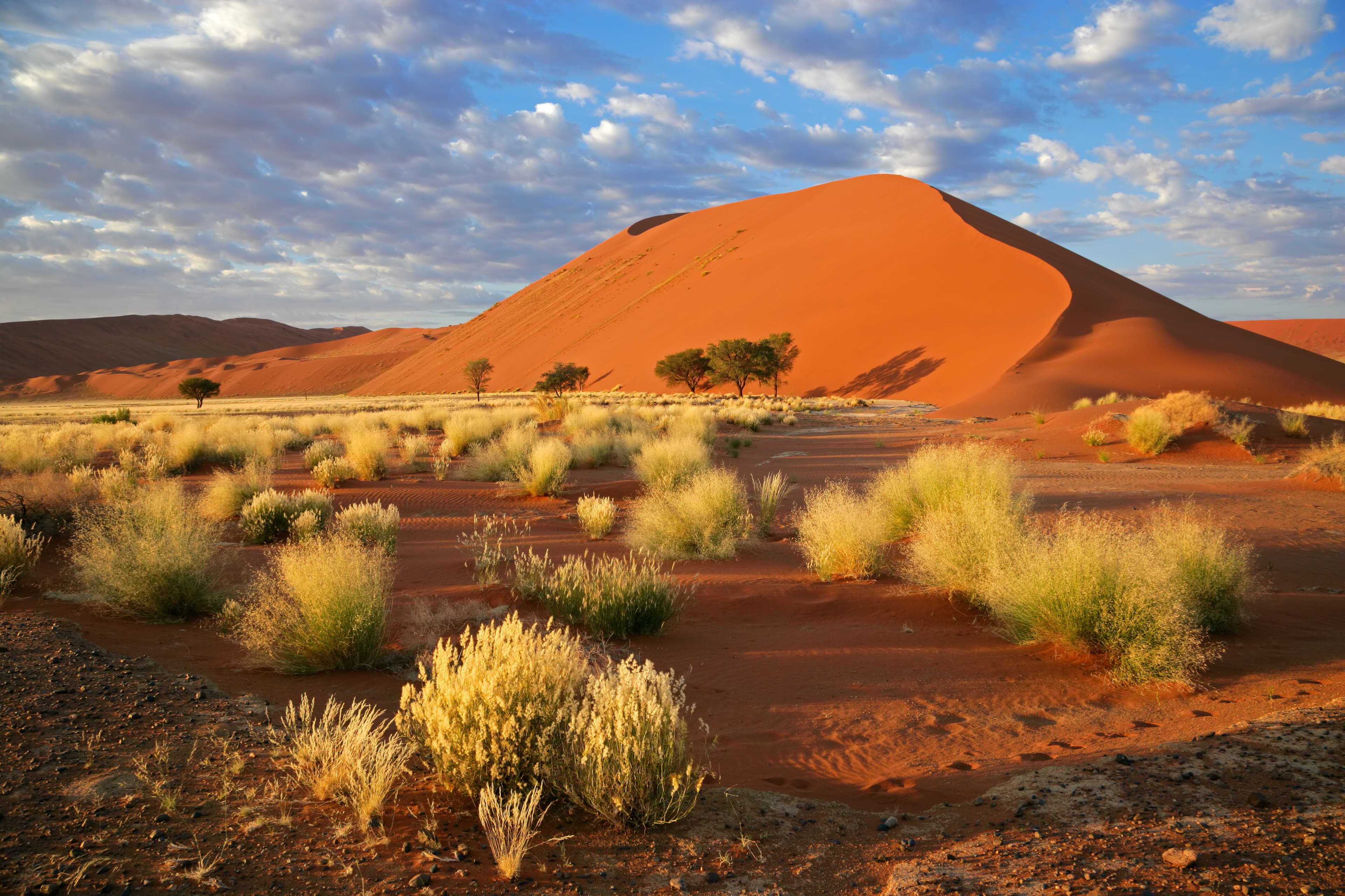 Namibia Titelbild